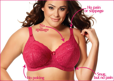 All About Bras at Harris Scarfe